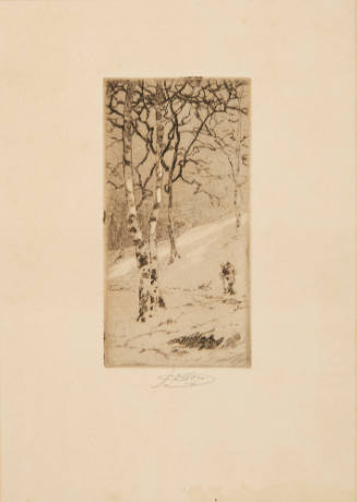 Winter in High Park, Toronto