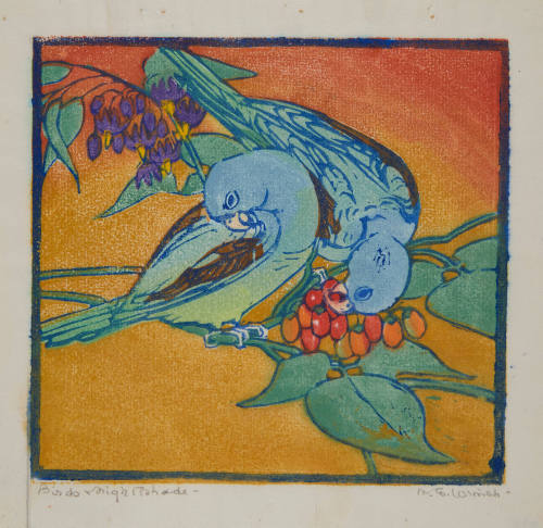 Birds and Night Shade