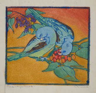 Birds and Night Shade