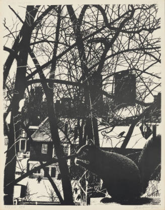 The Squirrel