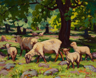 Woodland Pasture