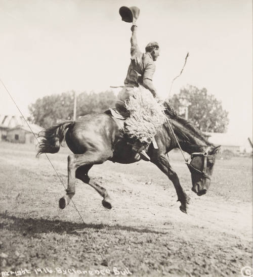 Bert Vedder (Montana Bronco Buster) [birth and death dates unknown]
