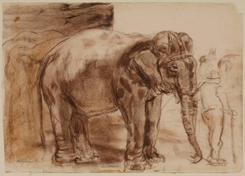 The Elephant