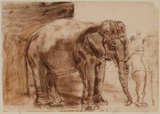 The Elephant