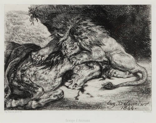 Lion dévorant un cheval