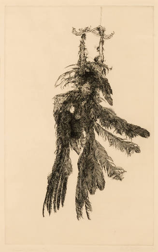 Dead Crow