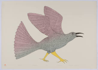 Tulugak