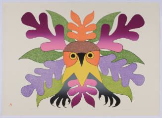 Summer Owl