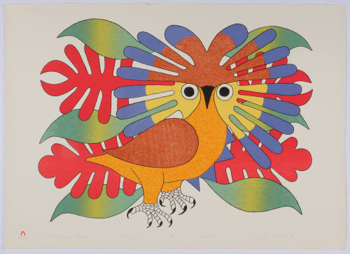 Sun Owl and Foliage