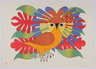 Sun Owl and Foliage