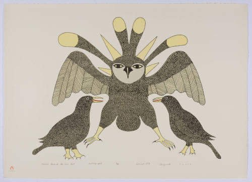 Ravens Guard the Sun Owl
