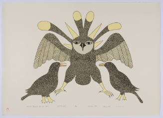 Ravens Guard the Sun Owl