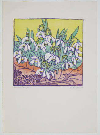 Snowdrops