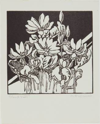 Bloodroot