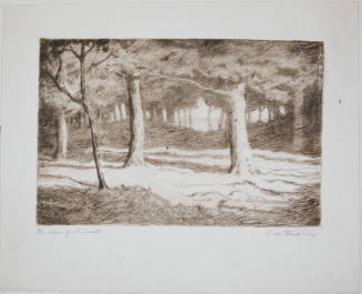 Edge of the Woods