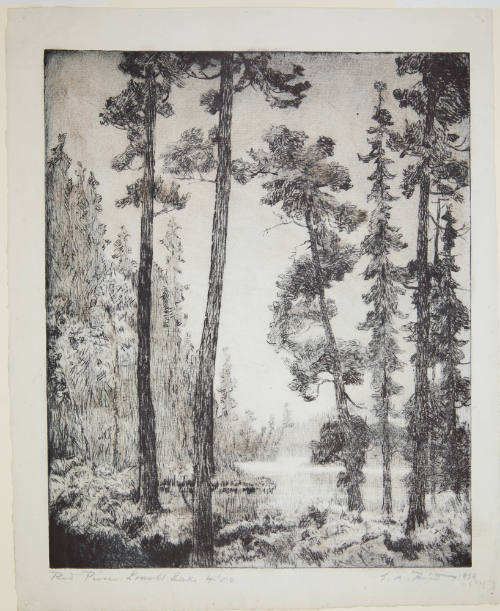Red Pines Lowell Lake
