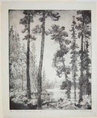 Red Pines Lowell Lake