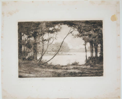 Bend of the River