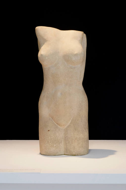 Torso