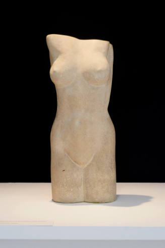 Torso