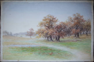Trees in a Meadow