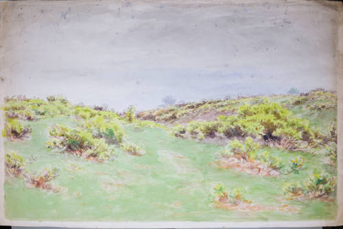 View with Low Bushes