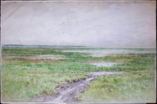 View of Wetlands