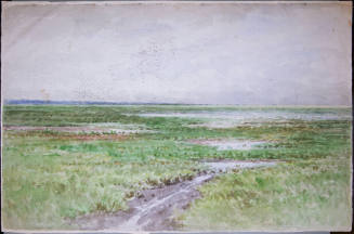 View of Wetlands