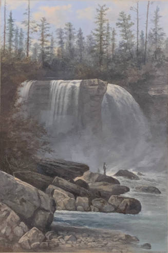 Webster's Falls
