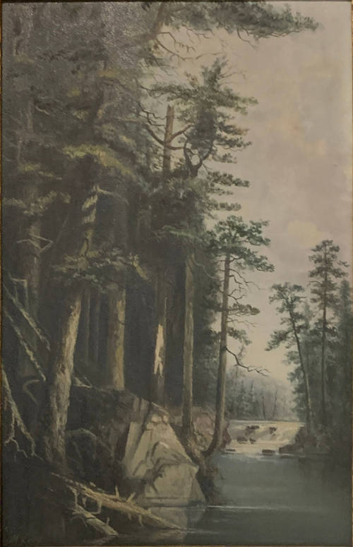 Forest River