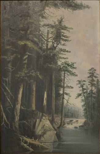 Forest River