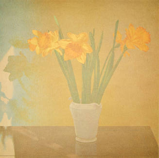 Daffodils