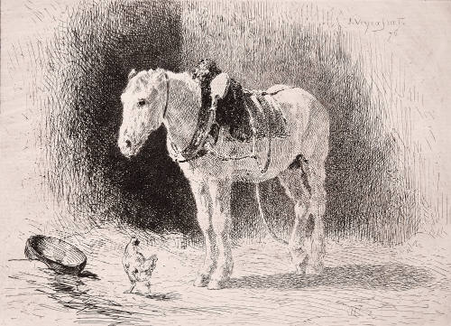 Cheval a L'Ecurie