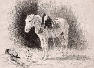 Cheval a L'Ecurie