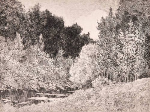 Bords de la Maine