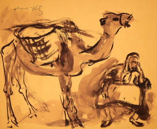 Man and Camel