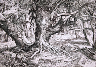 Forest Glade