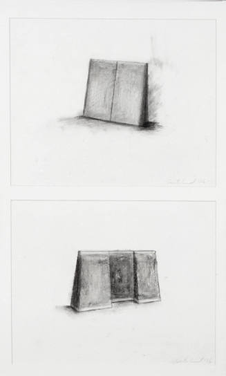 Untitled (diptych)