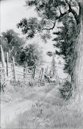 Landscape with Sheep