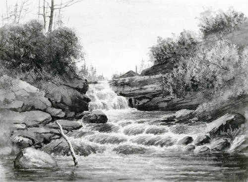 Rapids