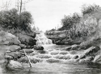 Rapids