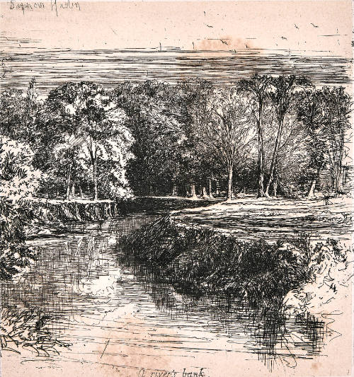 A River's Bank