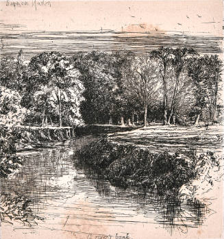 A River's Bank