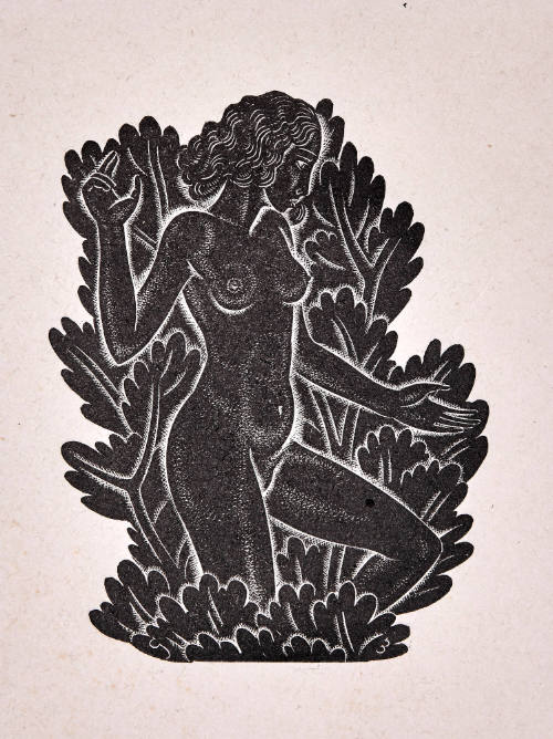 La Belle Sauvage II