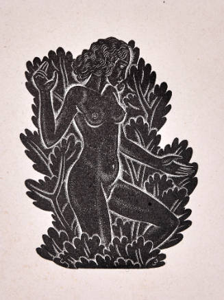 La Belle Sauvage II