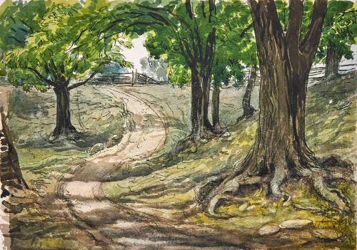 Track Through the Woods, Amherst Island