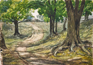 Track Through the Woods, Amherst Island
