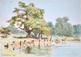In Knole Park, Kent
