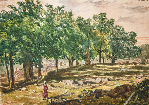 Sheep's Hill