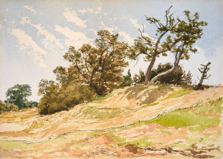 Wooded Knoll, Amherst Island